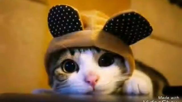 Кавайные картинки :3 смотреть онлайн