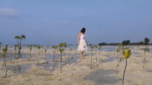 Медленная звезда