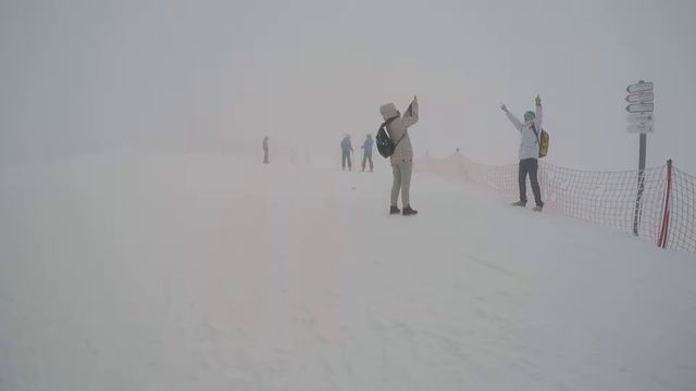 Роза Пик, 27.12.2015. смотреть онлайн