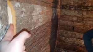 Та самая "Коряная Баня" от КубаньПечи! Тонкости монтажа и хитрости отделки липы с лыком.