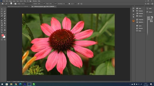 Renk Kodları, RGB ve CMYK Nedir, Vektör ve Piksel Farkı - Photoshop Dersleri смотреть онлайн
