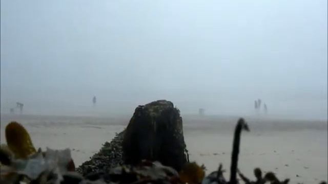 ЛЮДИ В ТУМАНЕ.wmv смотреть онлайн