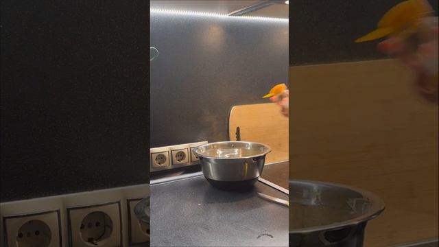 вафли с яблочным припёком - готовлю в потёмках #вафельныетрубочки #вафлирецепт #вафли #десерт#фейл смотреть онлайн