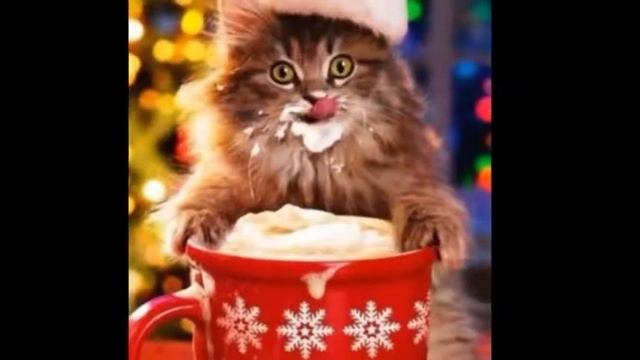 Рефлекс это новый год avi 1 смотреть онлайн