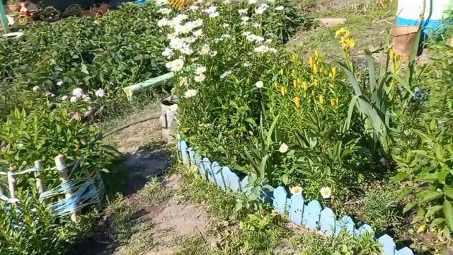 Начала делать заморозки на зиму /Дачный денечек . смотреть онлайн