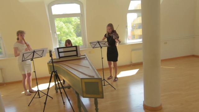 G.P.Telemann Triosonate d minor TWV 42:d10 смотреть онлайн