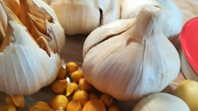 Рокамболь конец февраля смотреть онлайн