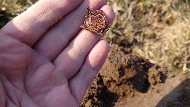 XP DEUS 2. Программа 5 "Парк". Поляна та же, добиваю всё, что глубже 20 см. Находок море! #xpdeus2 смотреть онлайн