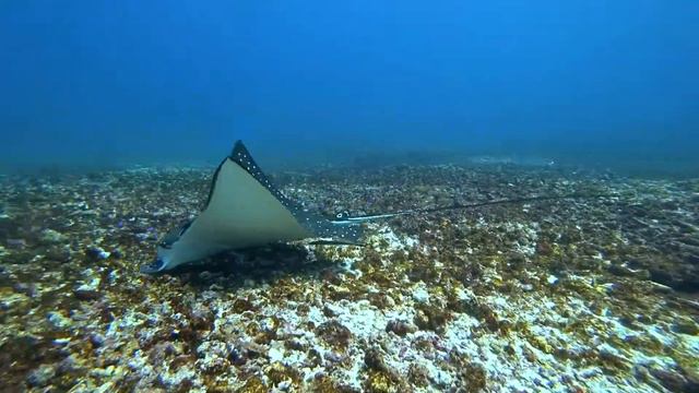 Орлята учатся летать смотреть онлайн