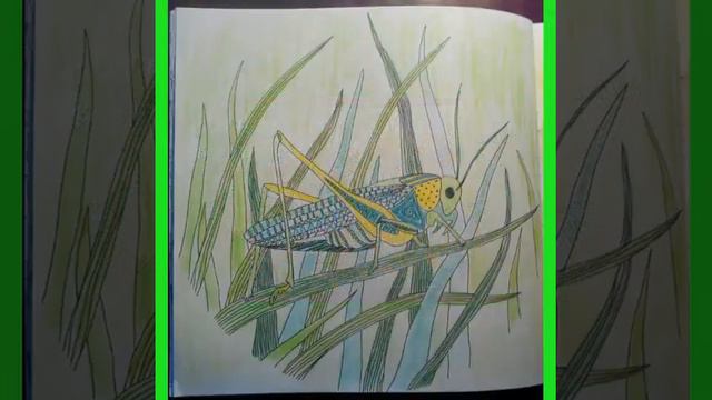 Мой цветовой квест. смотреть онлайн