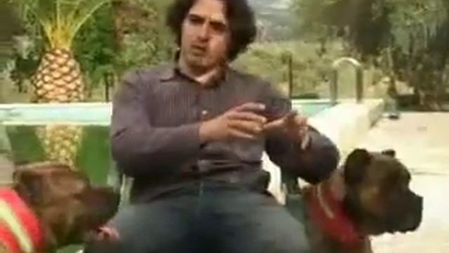 аланские собаки смотреть онлайн