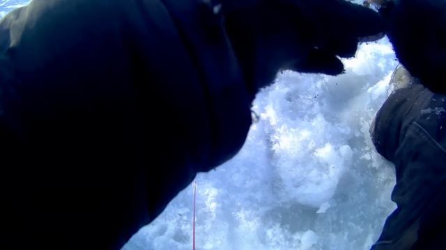 РЫБАЛКА В СЕРЕДИНЕ ФЕВРАЛЯ НА РЕКЕ МОРМЫШКОЙ В ГЛУХОЗИМЬЕ 2023! смотреть онлайн