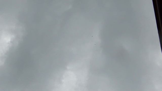 14.07 2019 отборочный тур. Продолжение посадки Сербских высоколётных, голубевод Милорадович Любиш смотреть онлайн