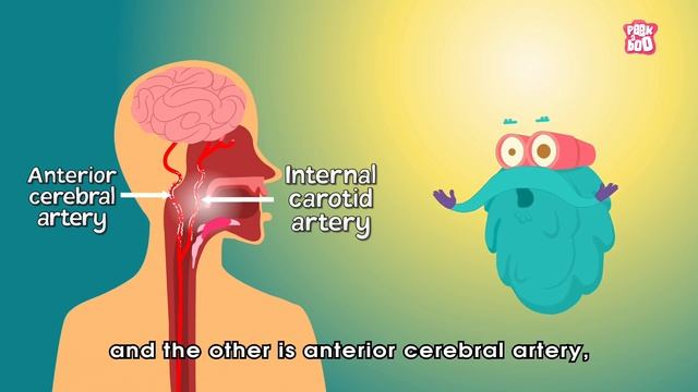 Why Do We Get Brain Freeze? | The Dr. Binocs Show | Best Learning Videos For Kids | Peekaboo Kidz смотреть онлайн