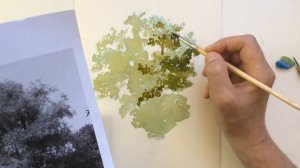 Уроки рисования. Как рисовать дерево. Пишем дерево акварелью - легко и просто!