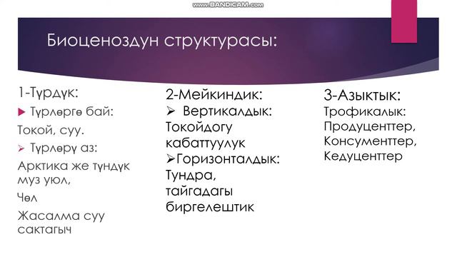 Биология 9 класс