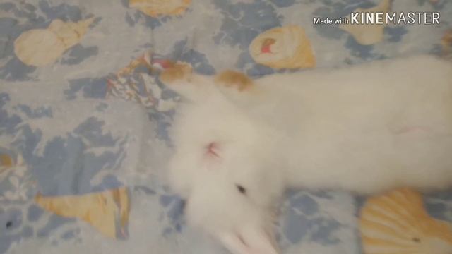 Клип на день рождения бабушки и дедушки ? смотреть онлайн