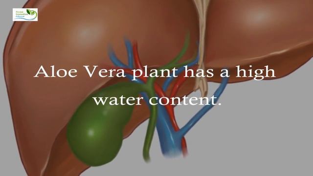 Benefits of Drinking Aloe Vera Juice | Top 5 Reasons to Drink Aloe Vera Regularly смотреть онлайн