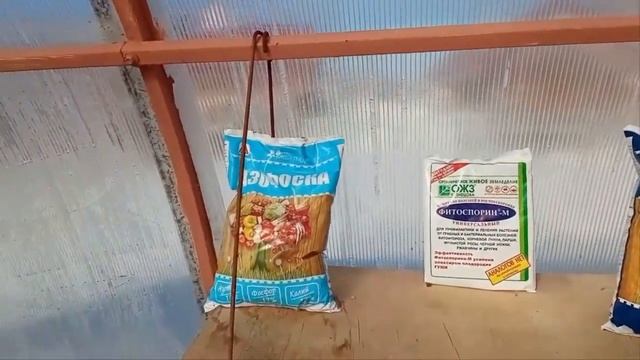 Что посадить в теплицу, лук на зелень в теплице. смотреть онлайн