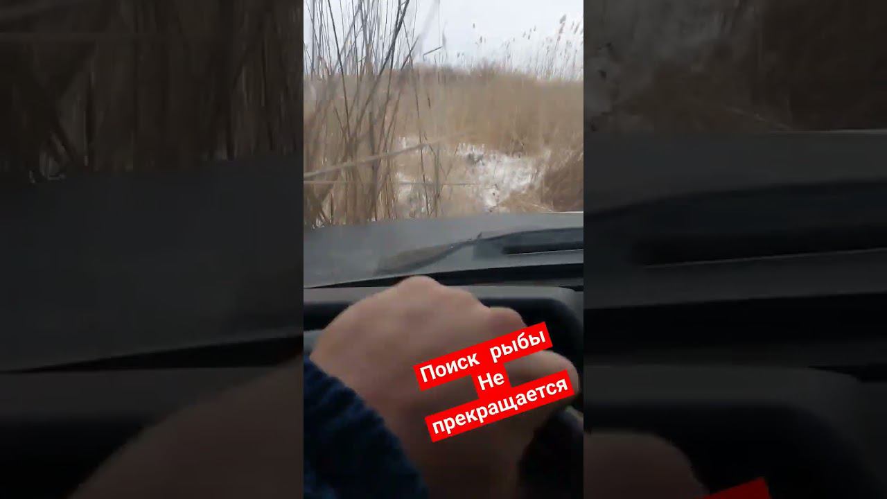 Поиск рыбы не прекращается смотреть онлайн