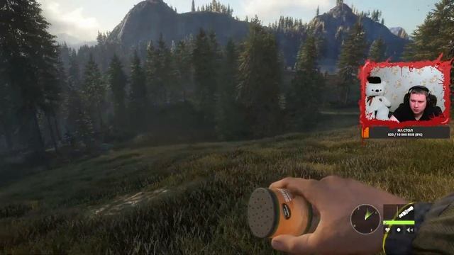 TheHunter Call Of The Wild #1 | Первый взгляд на игру TheHunter Call Of The Wild