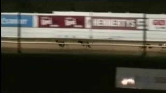 IGB - The Greyhound Sales 07/09/2019 Race 5 - Curraheen Park смотреть онлайн