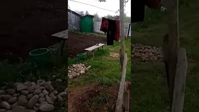 Весна пришла, зимой кушать надо. смотреть онлайн