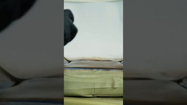 Как покрасить кожу в автомобиле своими руками?
