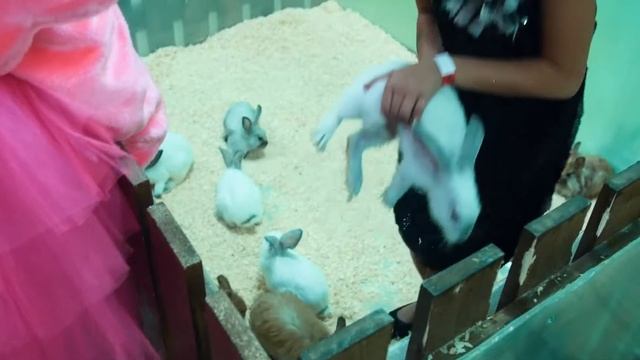 Мозаика Агентство праздника смотреть онлайн