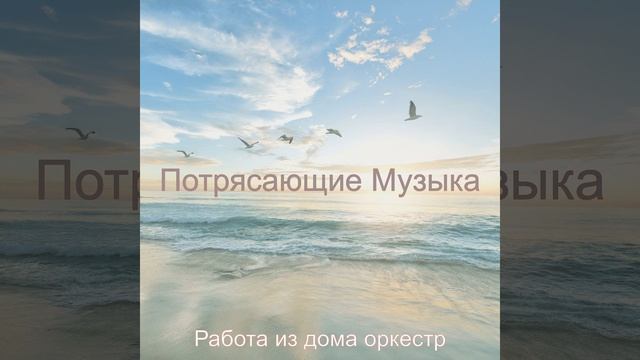 Созерцая (Тихо Удаленная работа)