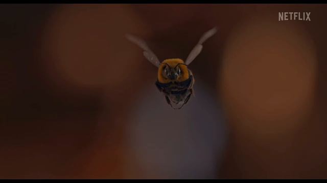 Man Vs Bee Official Trailer (2022) - 4K HDR смотреть онлайн
