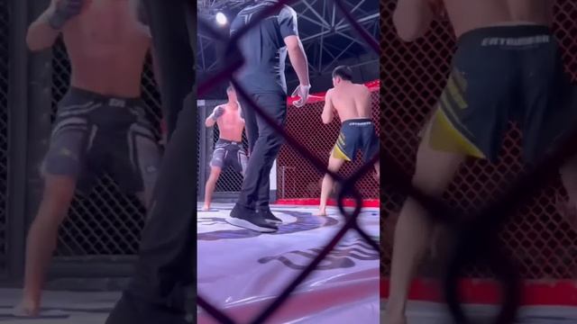 Кыргыз и Узбек жестко зарубились на EFC GLOBAL 32 смотреть онлайн