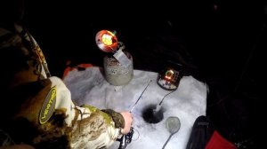 Секреты ловли налима зимой