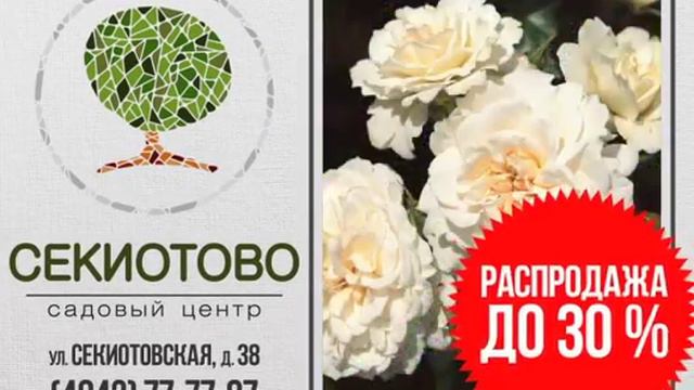 СадовыйЦентр Секиотово — ролик для светодиодного экрана смотреть онлайн