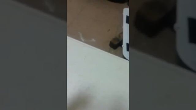 Ремонт стиральной машины Хаер смотреть онлайн
