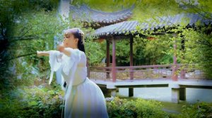 Красивый китайский танец (хореография)