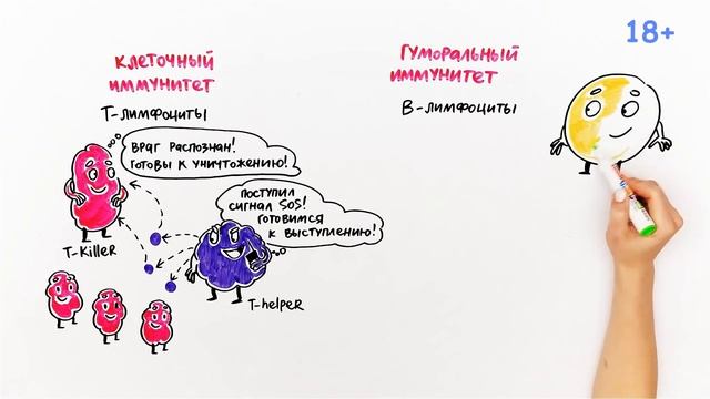 Что, если НИКОГДА НЕ БОЛЕТЬ ?