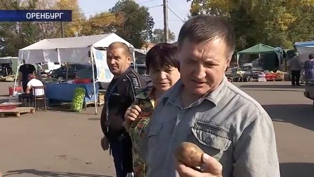 Заготовка на зиму 27 09 15 смотреть онлайн