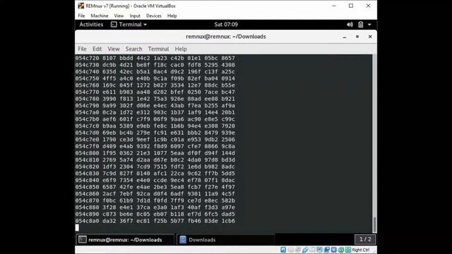 Basic Malware Analysis by Using REMnux смотреть онлайн