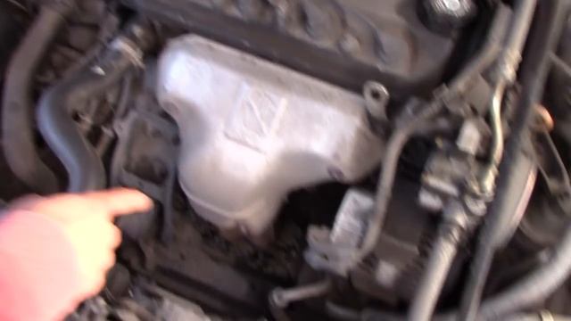 Honda Avancier 2.3л 2001 год Обзор.