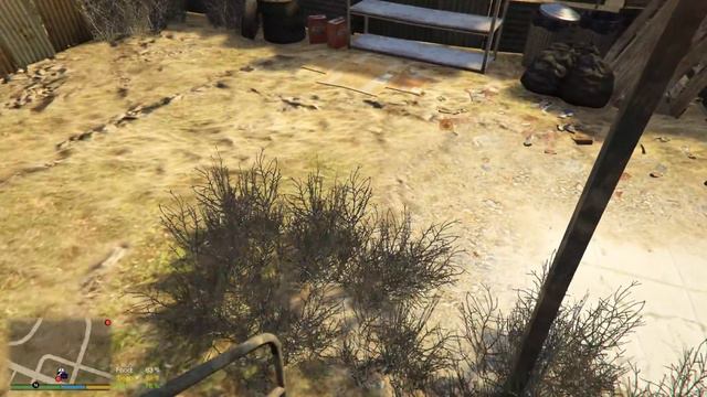 Реальная жизнь GTA 5 #10 || ЖИВОТНЫЕ. ЛИЦЕНЗИЯ. НОВАЯ МАШИНА. смотреть онлайн