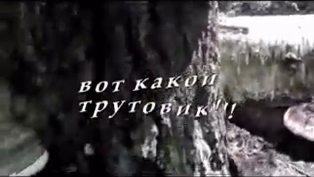 День Гранёного стакана смотреть онлайн