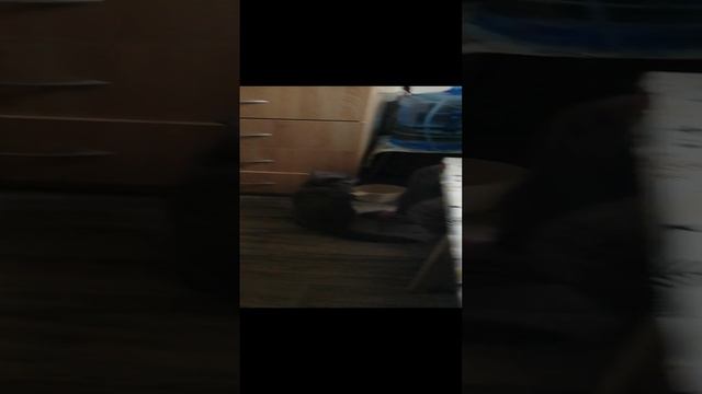 VID_20240403_091339.mp4