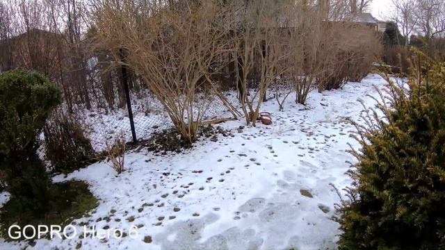 GOPRO Hero 6 vs GITUP Git 2 смотреть онлайн