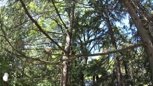 Санаторий "ЗАПОЛЯРЬЕ" СОЧИ ● ОБЗОР КОМПЛЕКСА ● Часть 1