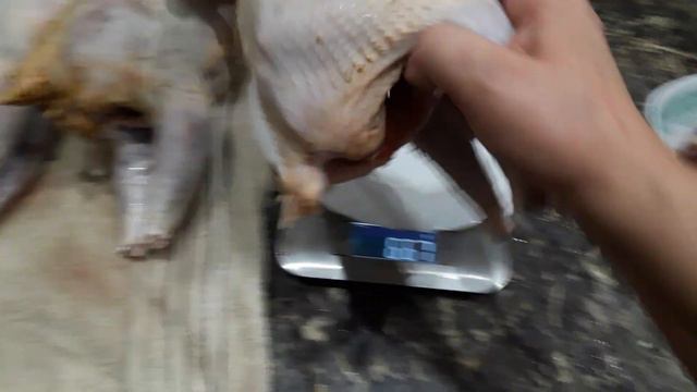 🌻🌻🌻ВЕС ЗАБОЙНЫЙ ПЕТУШКОВ МОЛОДЫХ ЛЕГГОРН СТАНДАРТ🌻🌻🌻