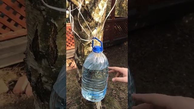 Путешествия по невидимому миру