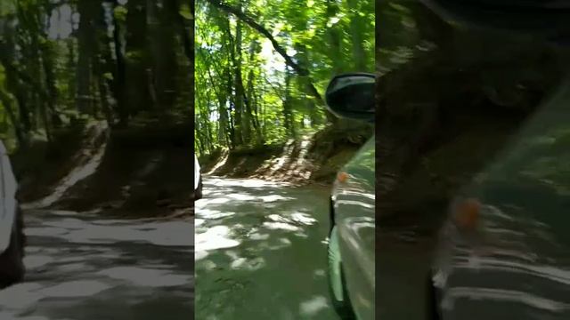 Крым, дорога на верх 18.08.23 смотреть онлайн