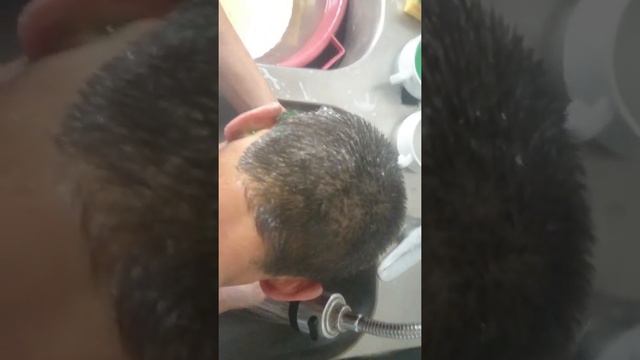 Yangi shanpun feri смотреть онлайн