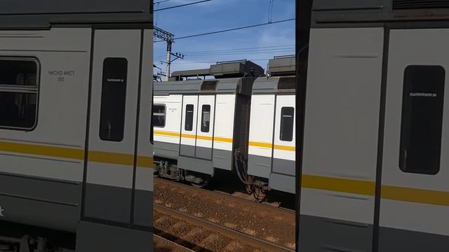 Эд4м-486 На пл.Отрадное (Д1) п.6173 Дмитров-Голицино